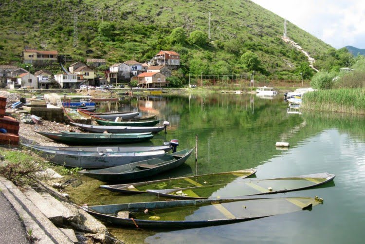 Vranina