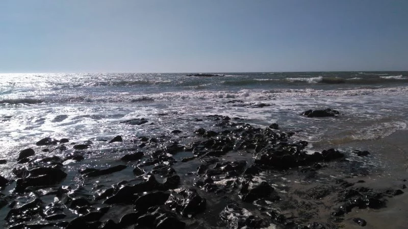 путь камино