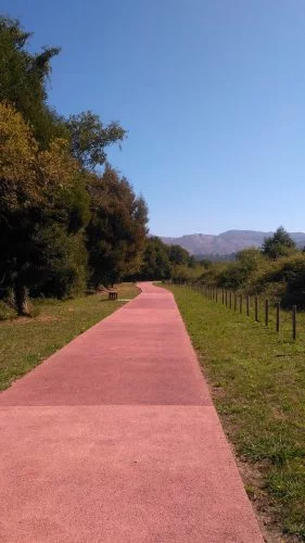 путь камино