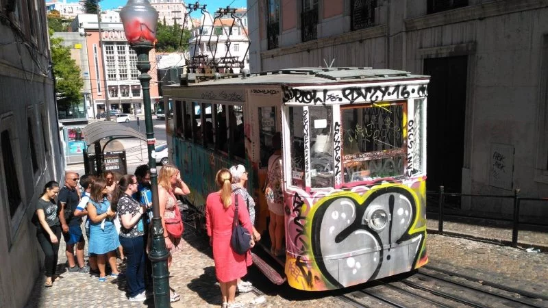 путь камино