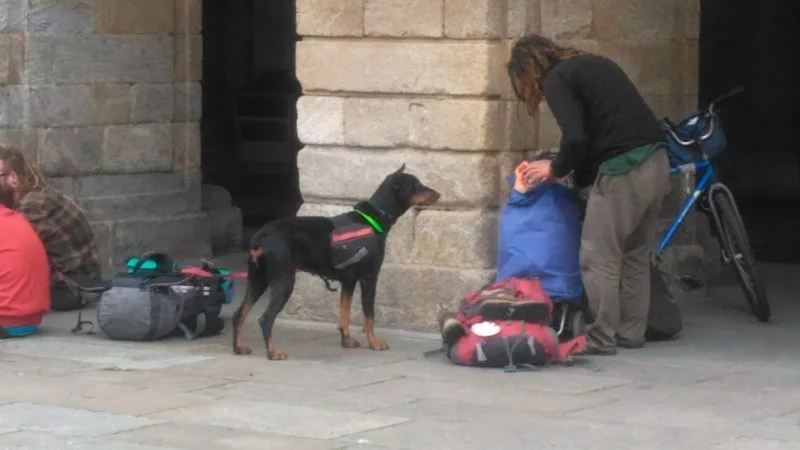 путь камино